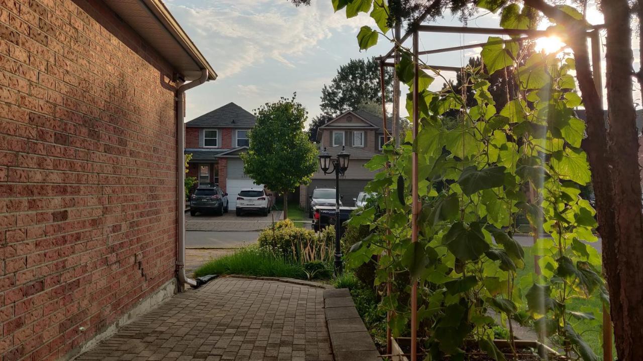 The Comfort Stay At City Of Pickering Eksteriør billede